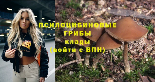 ешки Вязники